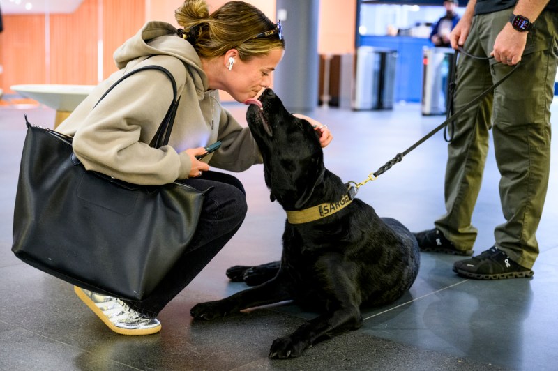 A person in a green hoodie kneels down to pet a black dog on a leash while the dog licks her chin. They are in a modern library space.