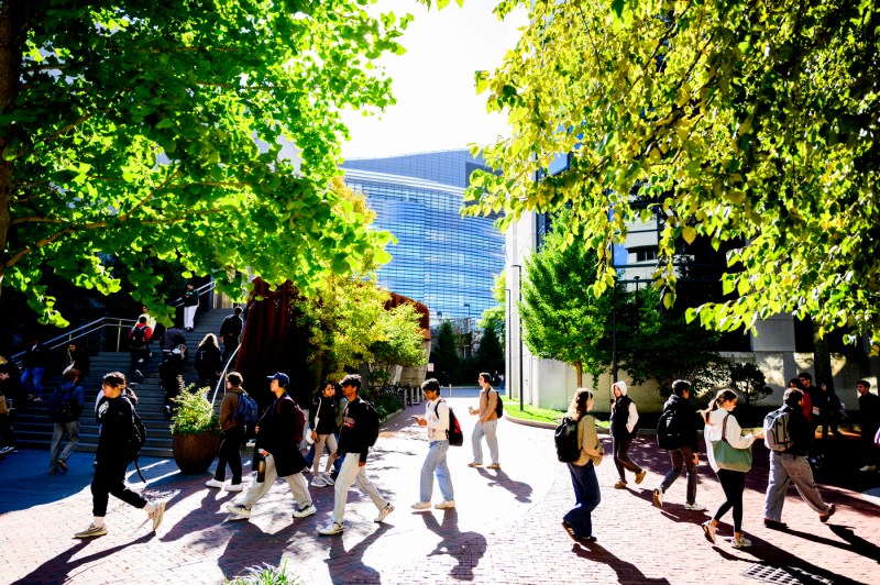 Students walk along a tree-lined campus pathway during a sunny day. Bright green foliage frames the scene from overhead, creating shadows on the ground.