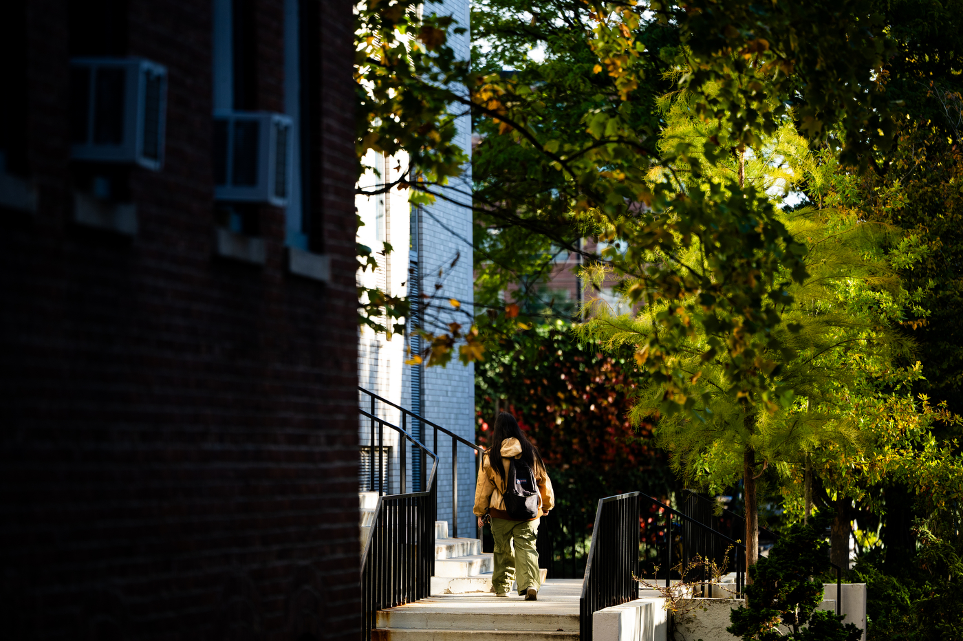 A member of the Northeastern community walks up a set of stairs on the Boston campus.