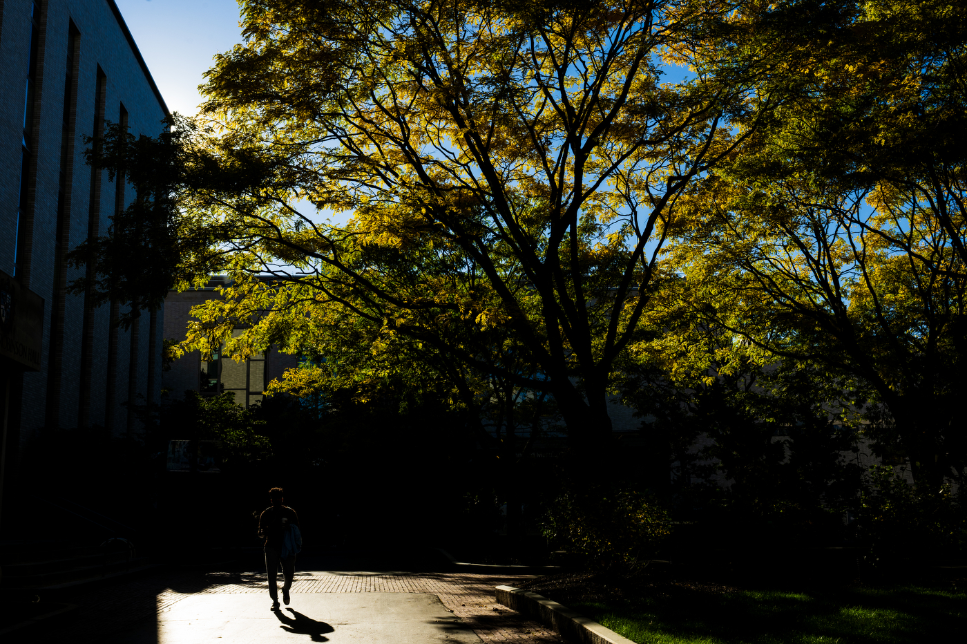 A member of the Northeastern community walks across the Boston campus.