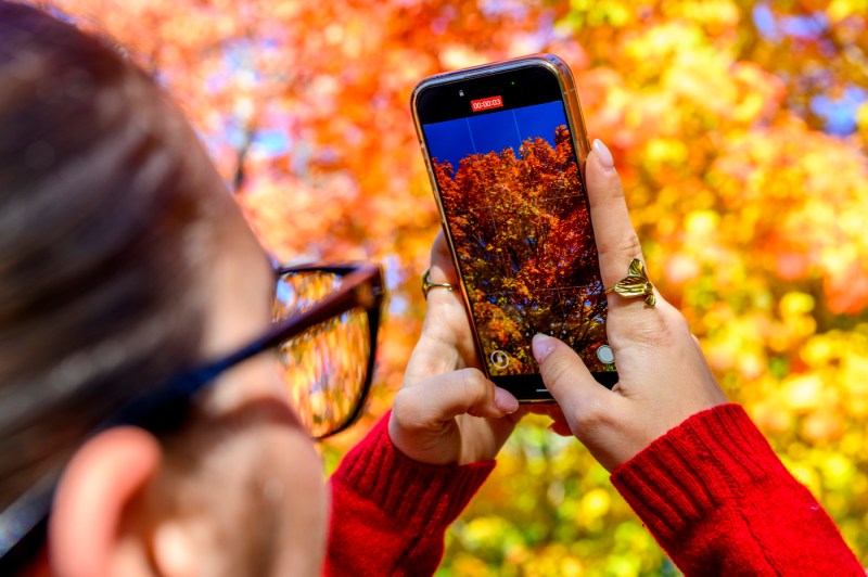 A member of the community takes a photo of the fall foliage on Northeastern's Boston campus.
