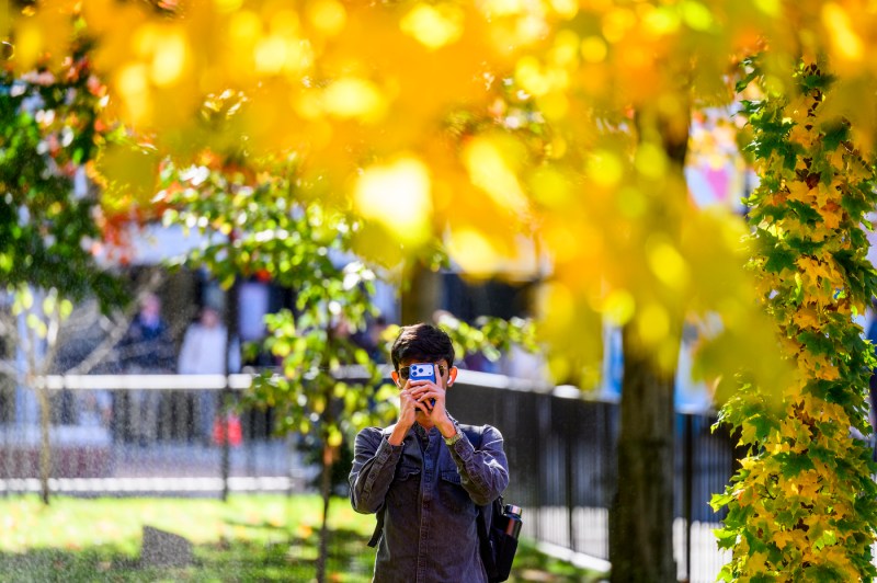 A member of the community takes a photo of the fall foliage on Northeastern's Boston campus.
