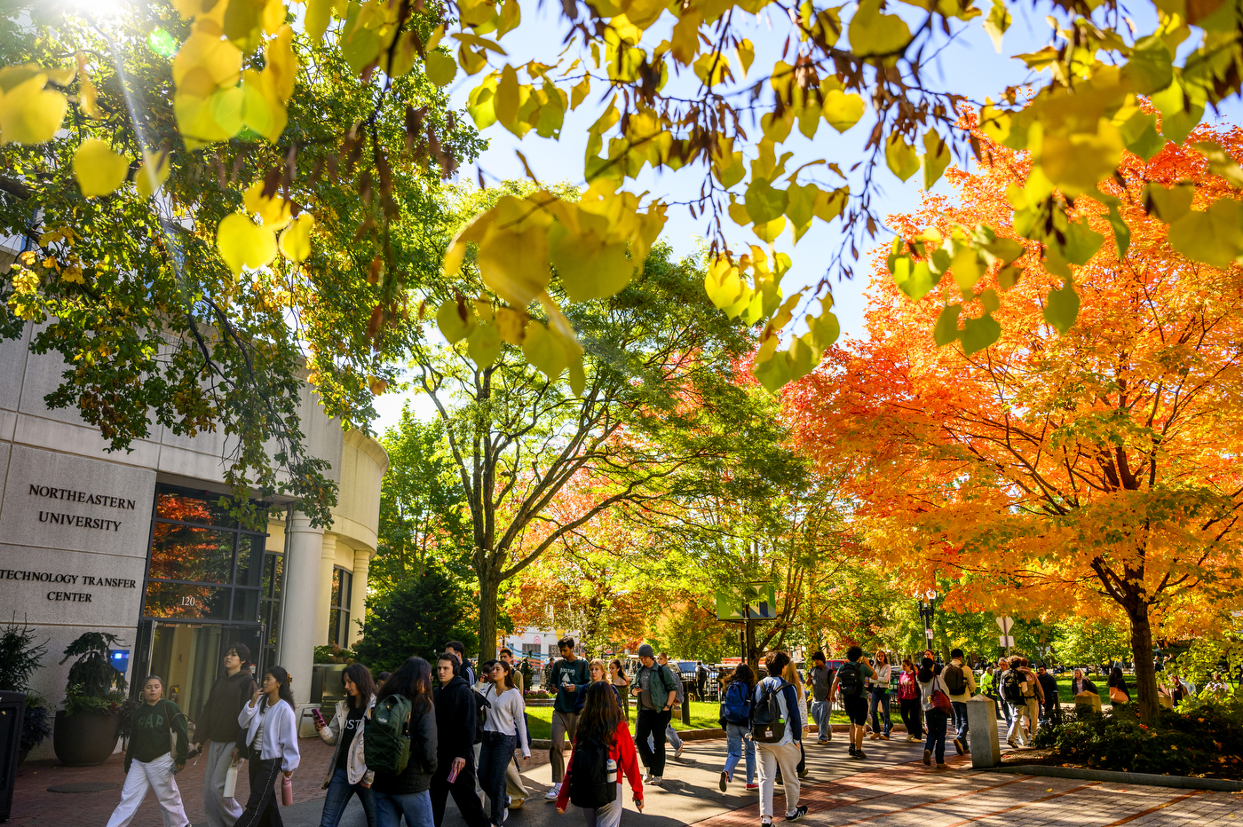 Students walk underneath a canopy of foliage on Northeastern's Boston campus.