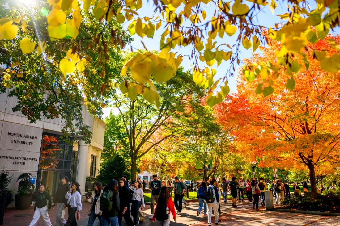 Students walking underneath trees with leaves that are green, yellow, and orange on the Boston campus.