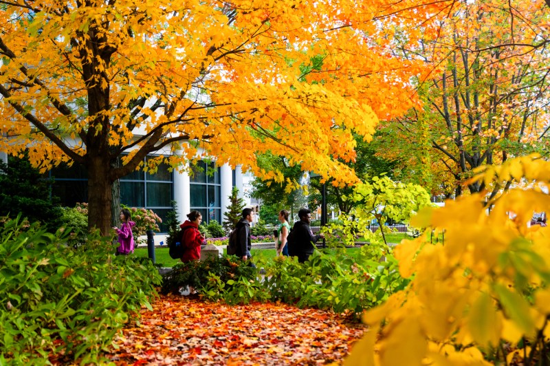 Students, framed by fall foliage, walk across Northeastern's Boston campus.