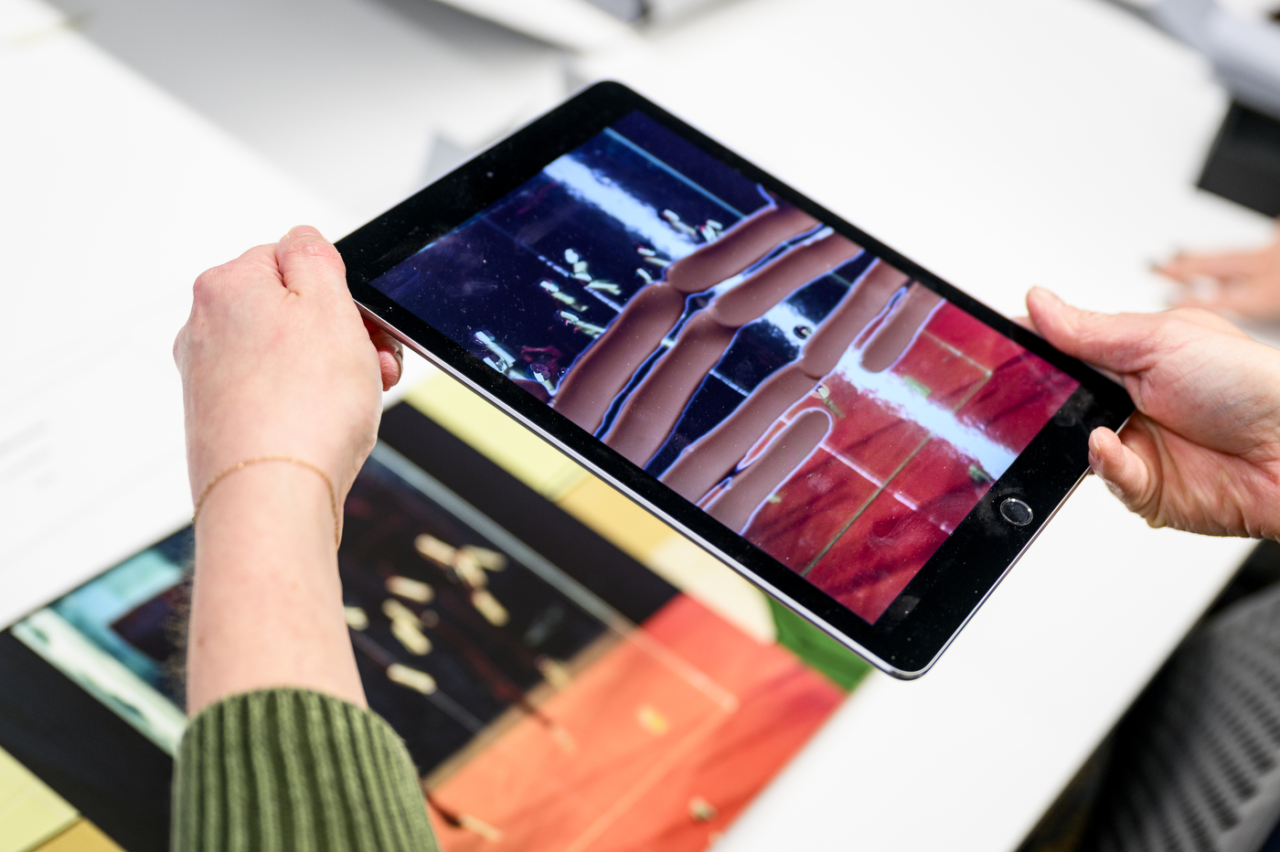 A person uses an iPad to look at a piece of art.