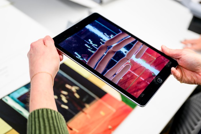 Hands hold a tablet displaying digital artwork during an artists' books event.