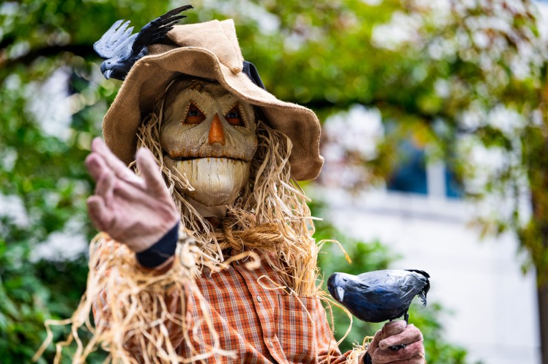 Scarecrow decoration with burlap face, straw hair, and tan hat adorned with a black crow, wearing an orange gingham shirt with one arm extended and another crow perched on its hand.