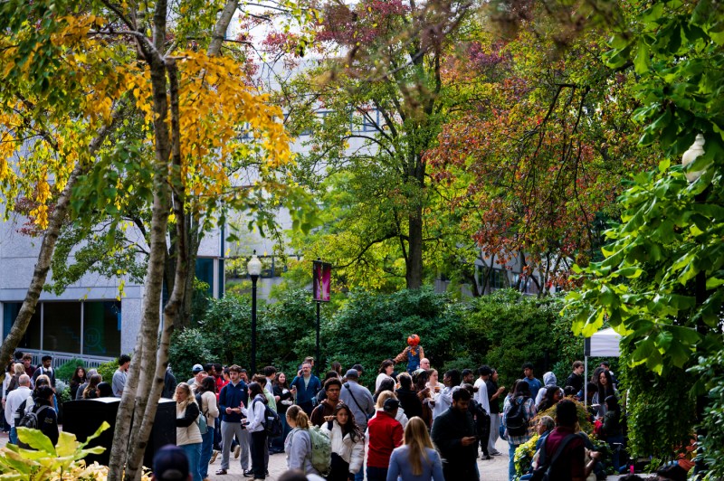 Large crowd of students walking through a tree-lined campus pathway surrounded by vibrant fall foliage in shades of yellow, green, and red.