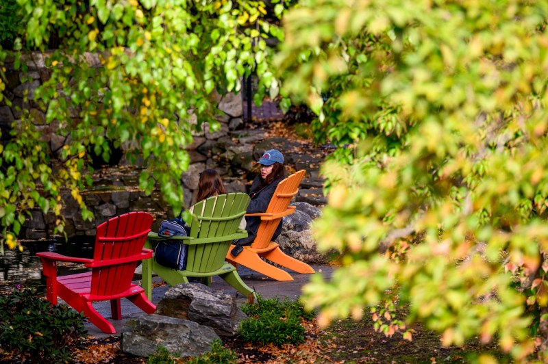 People relax and talk by a pond, seated in colorful Adirondack chairs surrounded by trees with green and yellow autumn leaves on Northeastern’s campus.