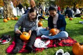 Chayil Mauristhene and her daughter Alexandria Mauristhene paint pumpkins on red blankets during Northeastern’s Friends and Family Weekend.