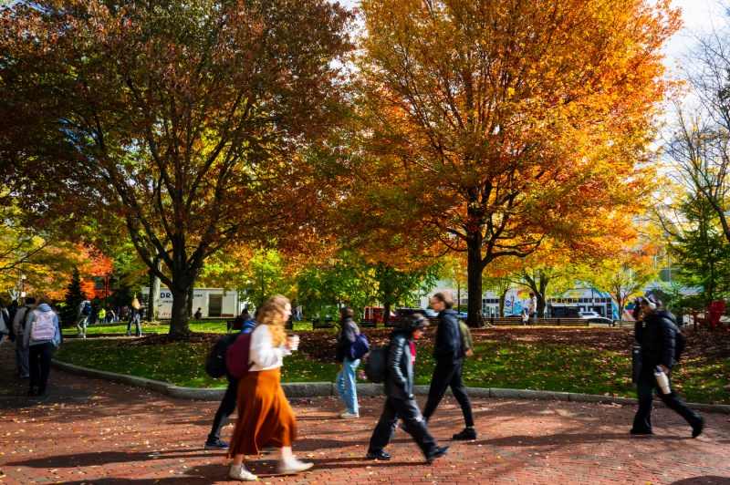 A crowd of people walk with brightly colored foliage behind them.