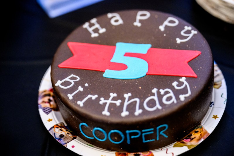 A chocolate birthday cake for the 5th birthday of a dog.