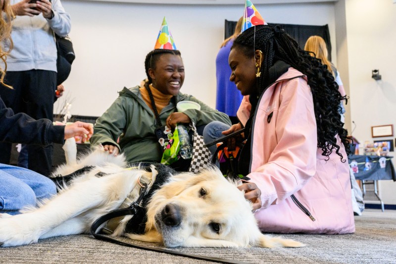 Two female students, smiling and wearing birthday hats, pet a golden retriever laying down.