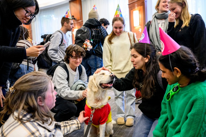 A large group of students wear birthday hats as they pet a smiling golden retriever dog. 