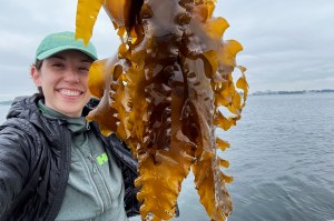Alexa Coulombe McGovern wearing a green hat and a rain jacket posing for a selfie while holding up a large piece of golden brown kelp.