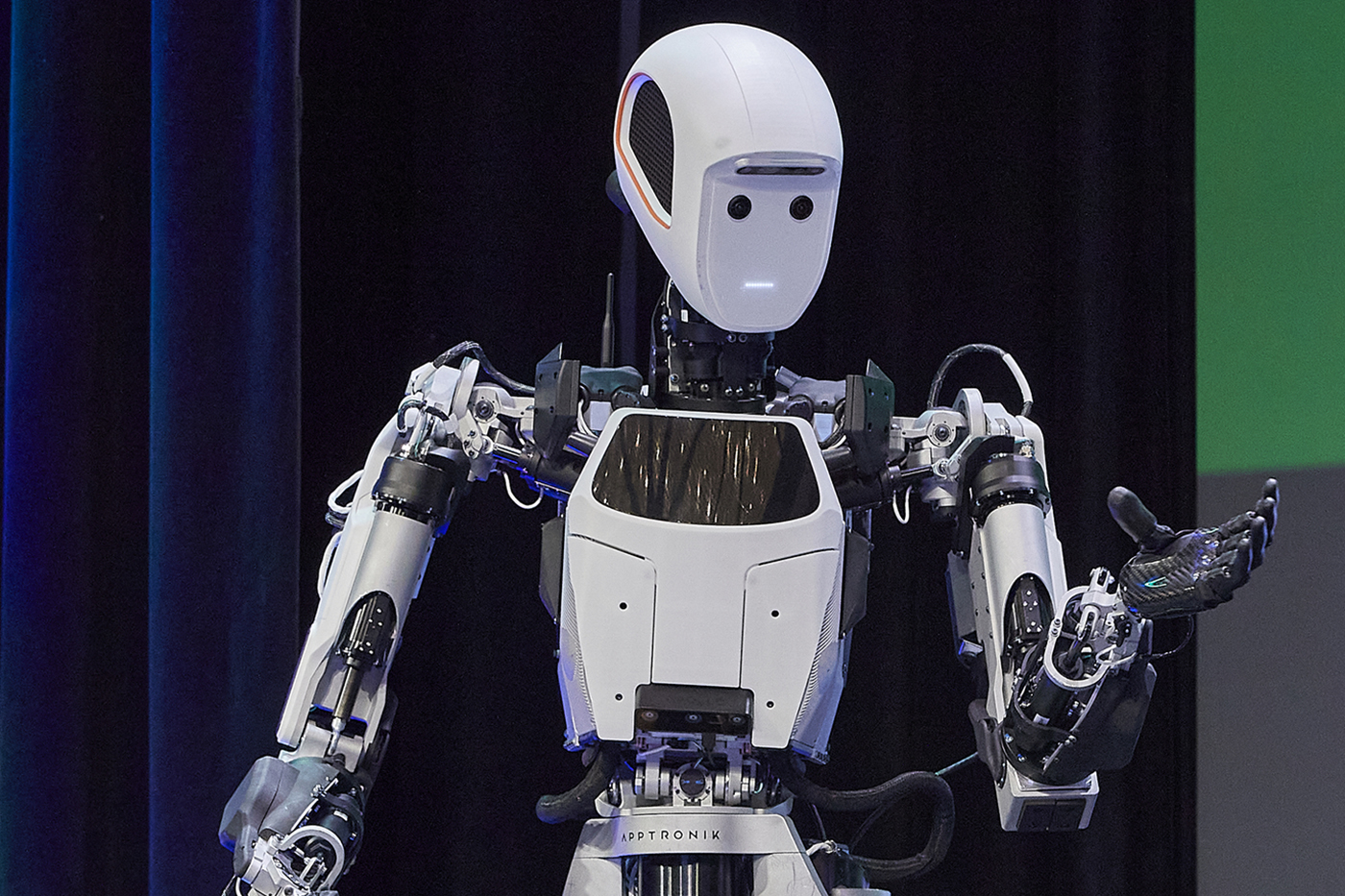Humanoid robots in the home? Not so fast, says expert