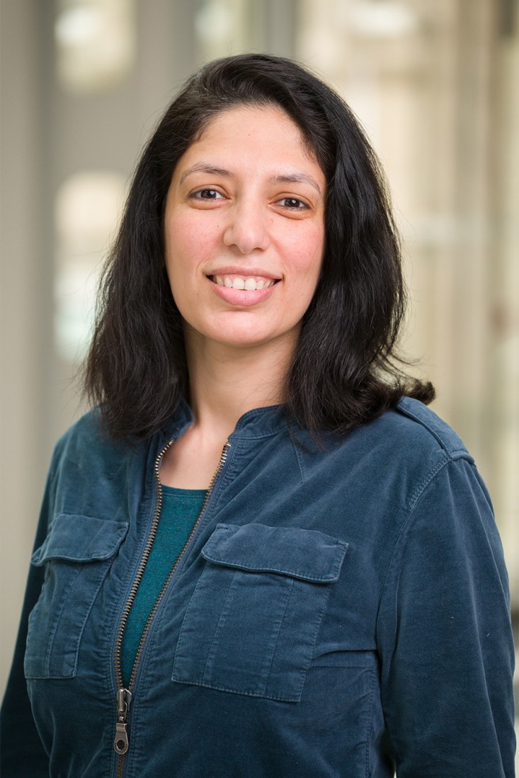 Portrait of Dina Rabie.