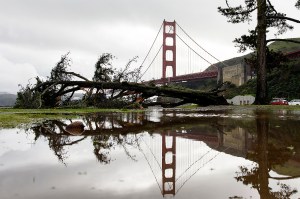 A fallen tree that was downed by recent severe weather reflected in a large puddle along with the Golden Gate Bridge.