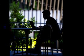 A silhouette of a student on a laptop with a large plant in the background.