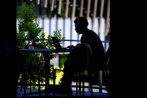 A silhouette of a student on a laptop with a large plant in the background.
