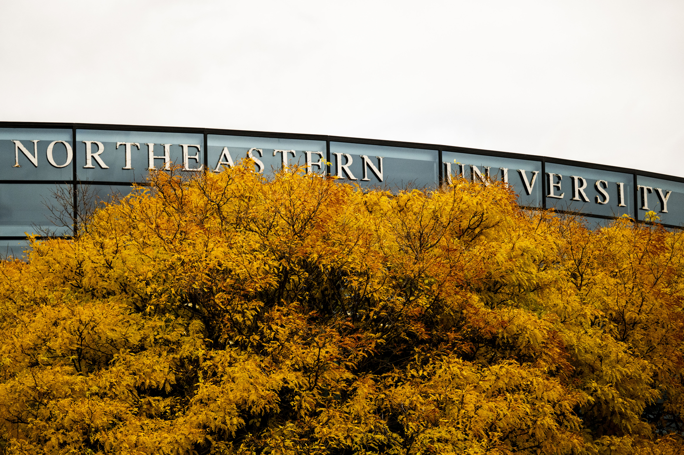 Fall foliage is seen in front of the Marino Center.