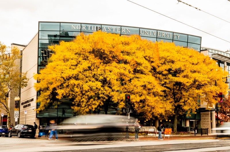 Fall foliage is seen in front of the Marino Center.