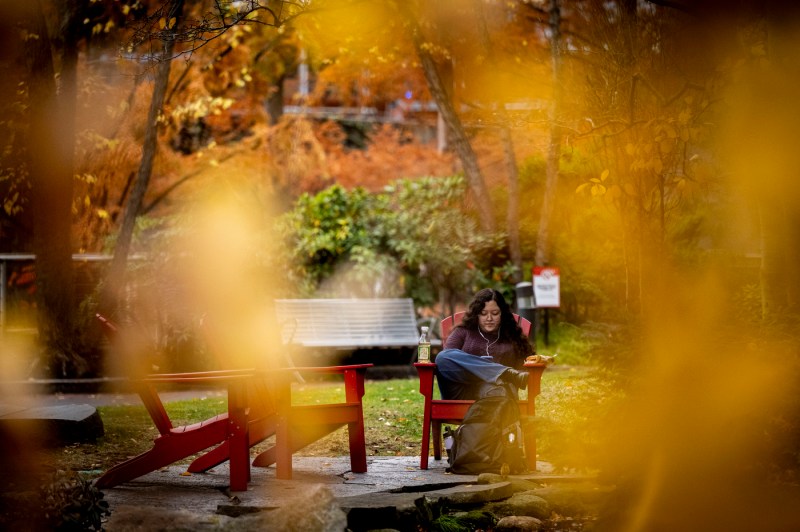 A student sits in an Adirondack chair near the koi pond.
