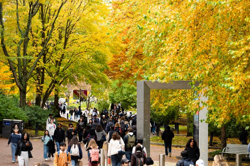 A crowd of people walk through a college campus surrounded by trees turning yellow in the fall.