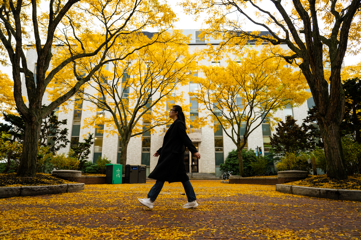 A student walks through yellow fall foliage in front of a building on the Boston campus.