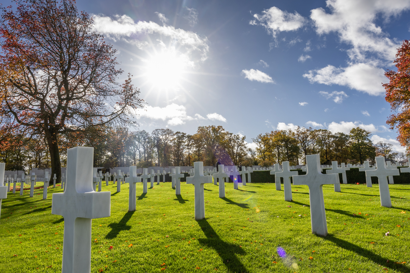 Rows of white memorial crosses in a military cemetary under a bright sun with trees in the background. 