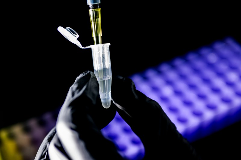 A gloved hand holds a small plastic vial while a pipette dispenses liquid into it, with a purple lab tray blurred in the background.