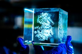 A hand in blue rubber gloves holds a clear plexiglass 3D cubic model of amino acids that look like curly ribbons.
