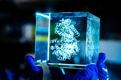 A hand in blue rubber gloves holds a clear plexiglass 3D cubic model of amino acids that look like curly ribbons.