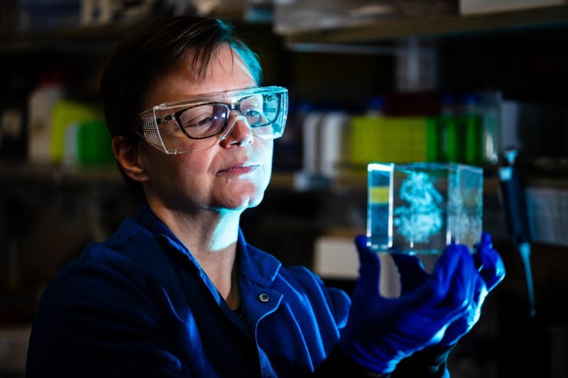 A researcher wearing safety glasses and a lab coat inspect a lab sample.