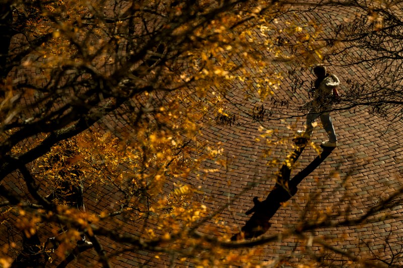 Framed by yellow leaves, a student walks through the Boston campus.
