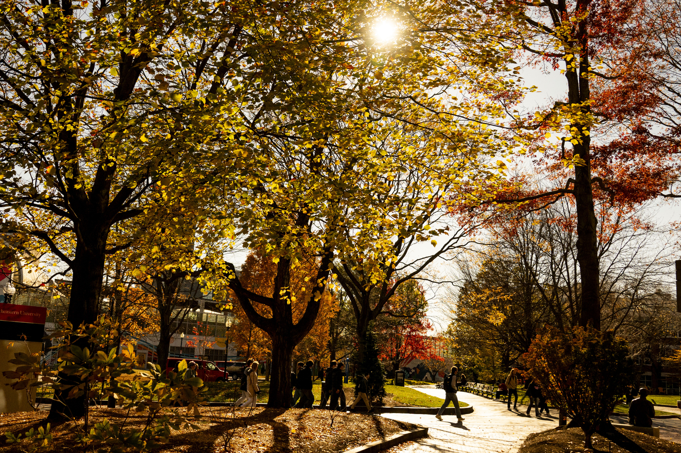 The sun shines through trees with leaves that are yellow and red.