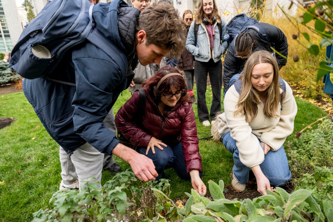 A cluster of students kneels and crouches on the grass as they closely examine plants and soil during an outdoor nature class, with others standing behind them observing.