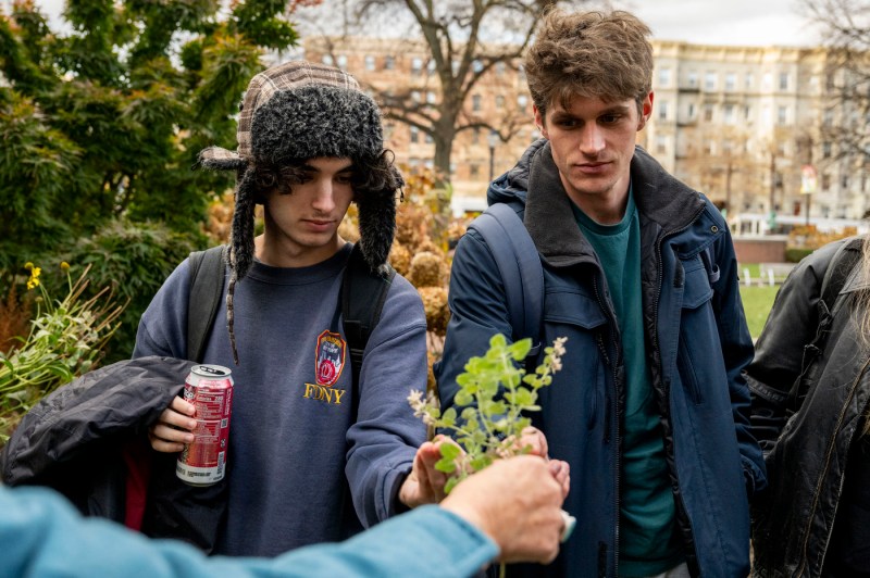 Two students, one of whom is holding a canned beverage, look at a plant outside during class.