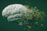 3D illustration of a human brain constructed from digital cubes dissolving into natural elements like flowers.