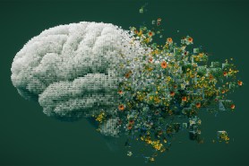 3D illustration of a human brain constructed from digital cubes dissolving into natural elements like flowers.