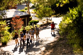 Students walk along a sunny campus pathway lined with trees and landscaping, with a modern building visible in the background and green foliage framing the view.
