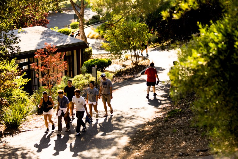 Students walk along a sunny campus pathway lined with trees and landscaping, with a modern building visible in the background and green foliage framing the view.