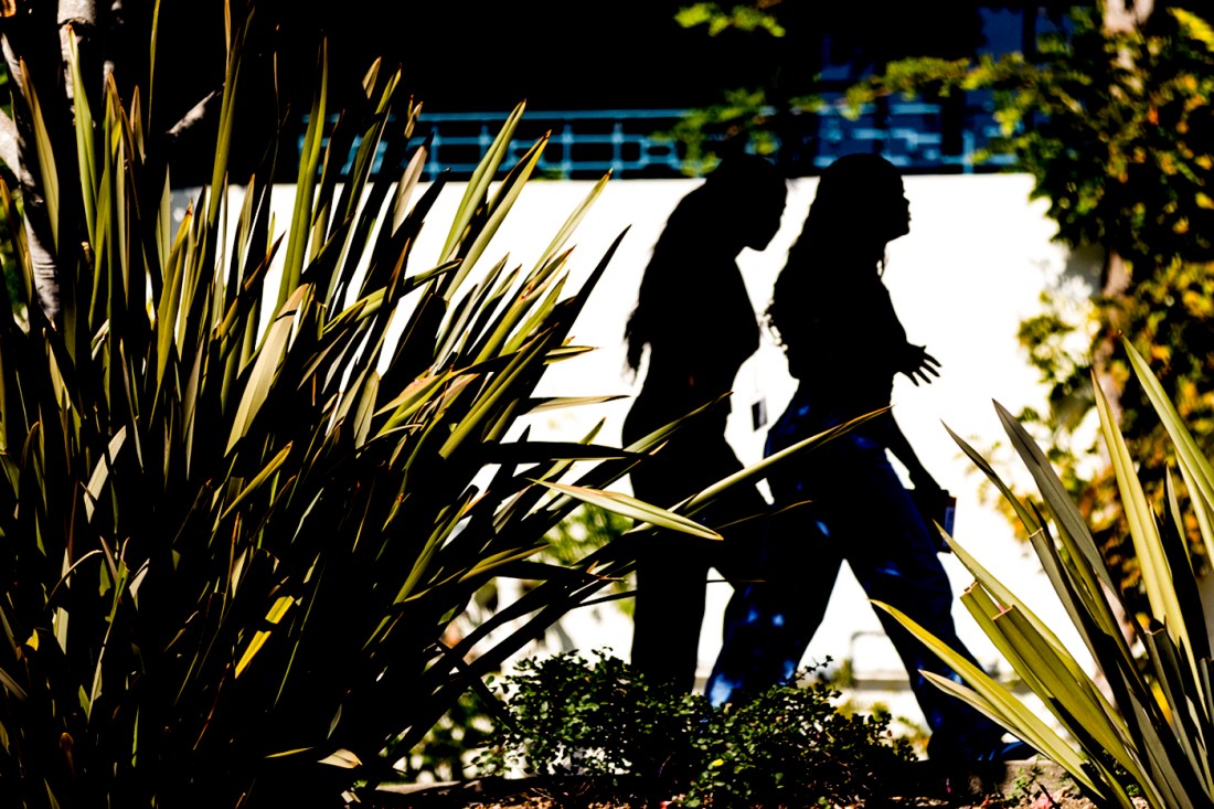 Two people in silhouette walk past tall, spiky plants in the foreground, with bright sunlight creating strong contrast and trees and a building softly blurred in the background.