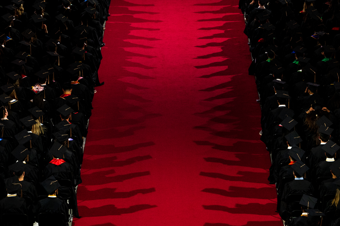 Graduates wearing caps and gowns sitting on either side of a red carpet. 