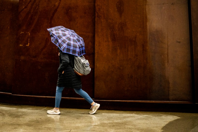 A student carrying a plaid umbrella and a backpack walks across the pedestrian bridge.