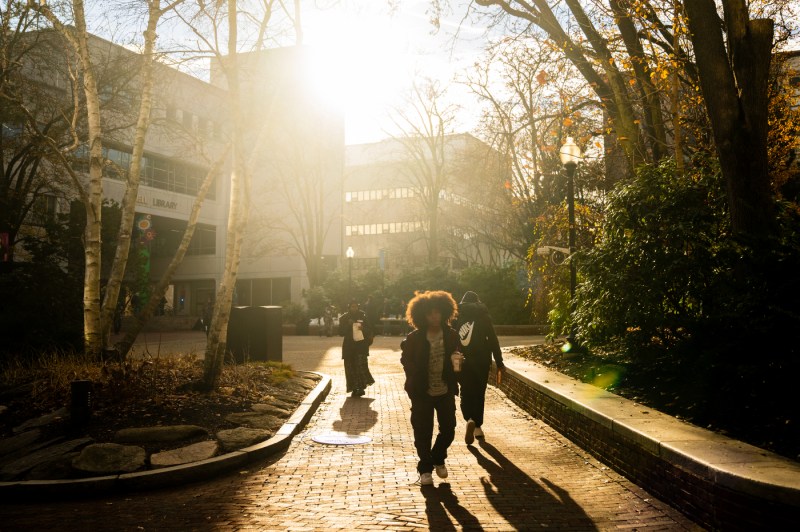 Students walk along a brick path as the sun creates a golden glow. 