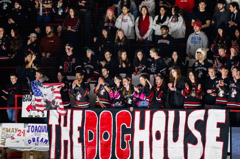 A crowd of students holds flags while standing in their seats at Matthews Arena.