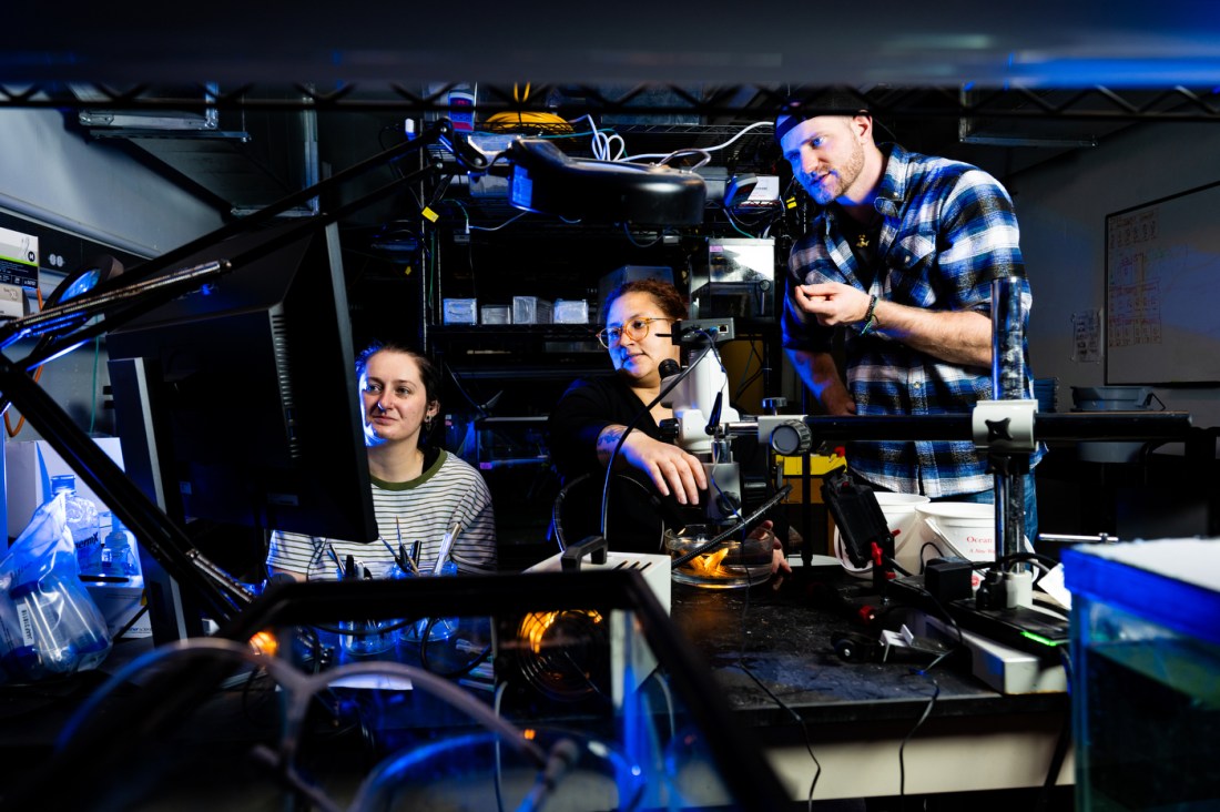 Three people look at a computer monitor in a marine science lab. One of them, wearing a baseball cap, stands on the right, while the other two sit.