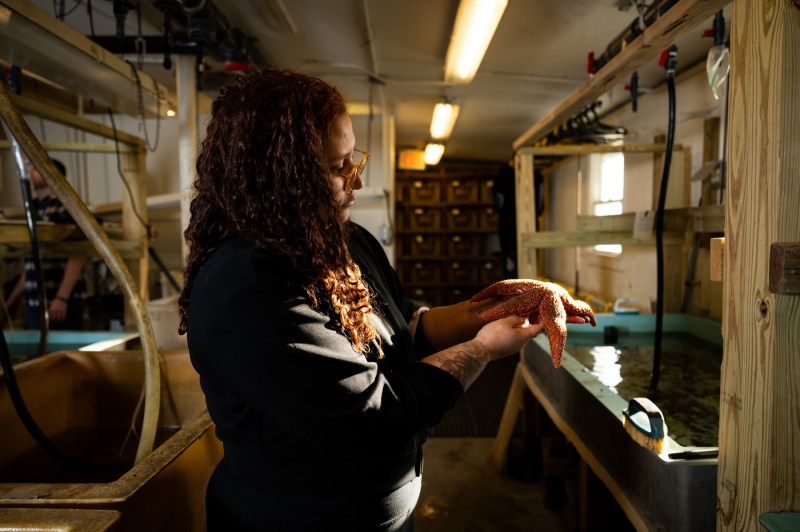 A woman standing next to a water tank in a marine science lab examines a sea star in her hands.